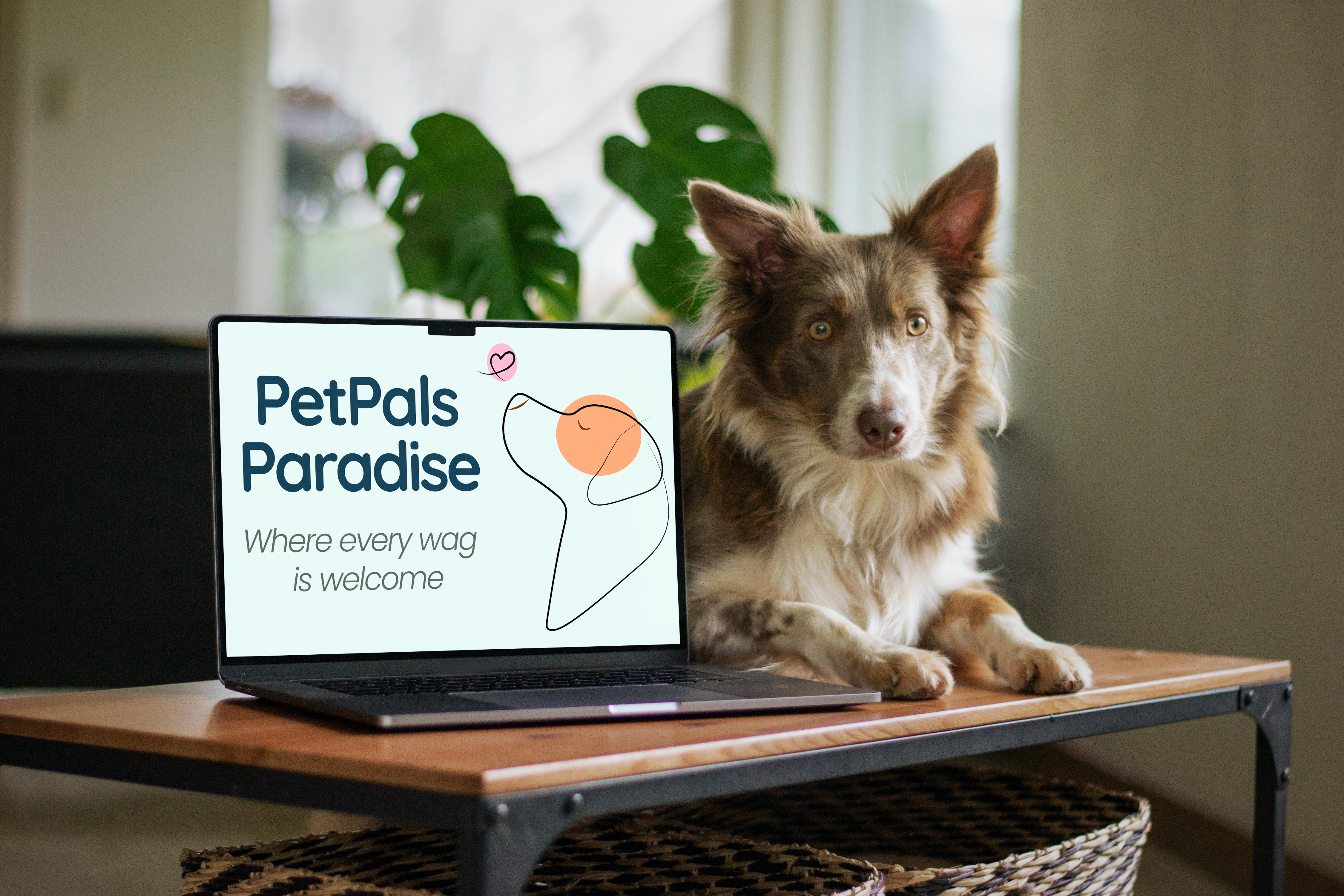 PetPals Paradise logo